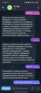 CV Bot 2
