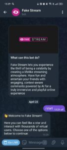 Fake Stream 2