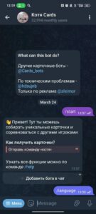 Котя Cards 1