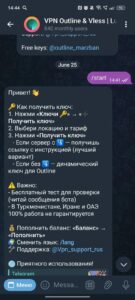 VPN Outline (@gurvpn_bot) 3