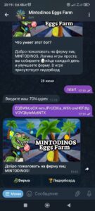 MINTODINOS Eggs Farm 1