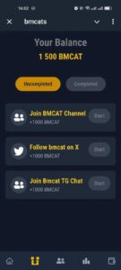 bmcats 2