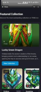 TRIBE TON APP 3