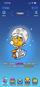 KittyVerse 6