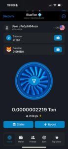 TON Boost App🚀 1