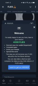 FLIES 🪰 1