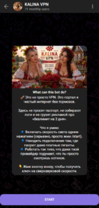 KALINA VPN 1