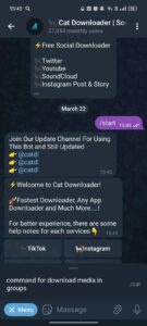 🐈‍⬛️ Cat Downloader | Social Medias & Websites Downloader 2