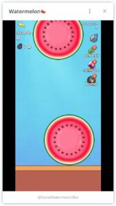 Watermelon🍉 1