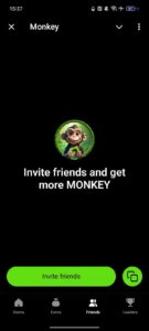 Monkey 4