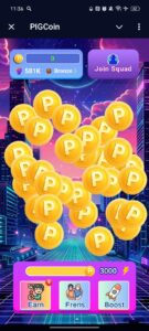 PIGCoin 1