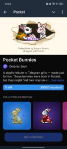 Pocket 1