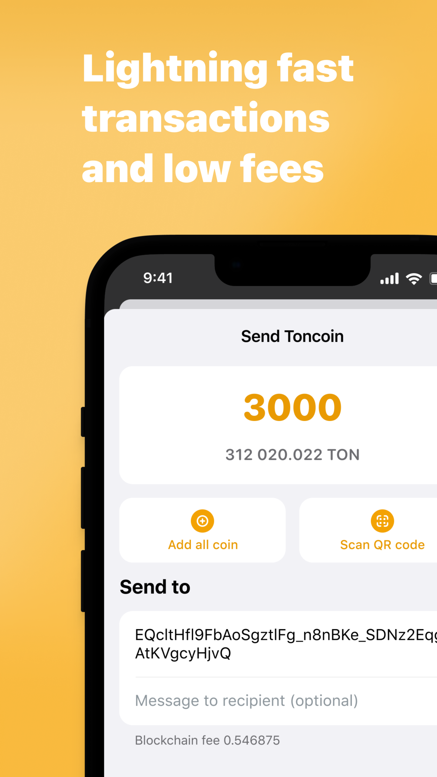 Development Wallet 3