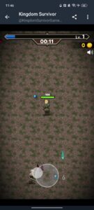 Kingdom Survivor Game 3