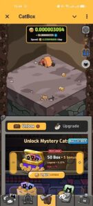 CatBox V2 4