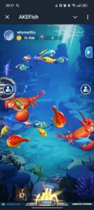 AKEFish 1