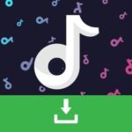 Ziyotech TikTok Instagram youtube down