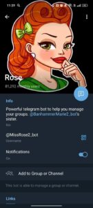 Rose 4