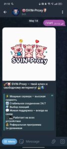 🐽SVIN-Proxy🛡️ 2