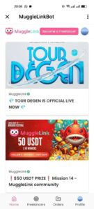 MuggleLink 2