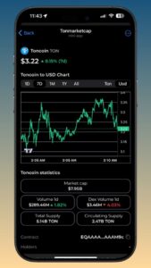 Tonmarketcap 3