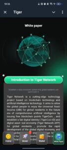 Tiger 4