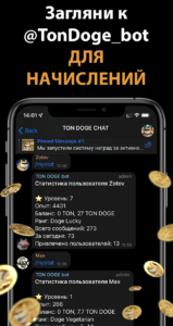 TON DOGE COIN CHAT 3