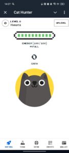 Cat Hunter 1