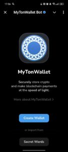 MyTonWallet App 1