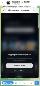 HaremHub AI chat 18+ 1