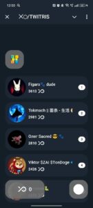 ⨉◯/TWITRIS 1
