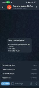 Скачать видео TikTok 3