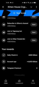 Kitten House Crypto 6