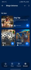 Bingo Universe 4