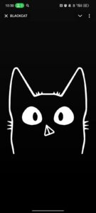 BLACKCAT 4