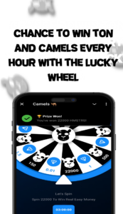 CAMELS 🐪 2