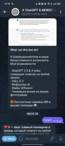 @chatgpt_web_gobot 1