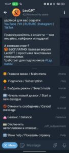 LeoGPT 3