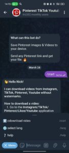 Pinterest TikTok Youtube downloader 2