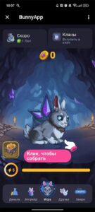 BunnyApp 1