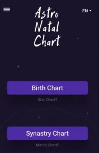 Astro Natal Chart 6