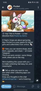 Pocket 3