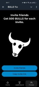 BULLS 𓃓 1