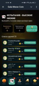 Gala Meow Coin 3
