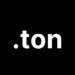 TON DNS X