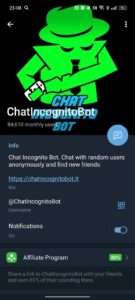 ChatIncognitoBot 4