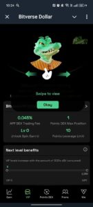 Bitverse Dollar 2