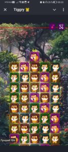 Tiggry 🐯 6