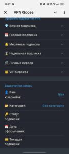 VPN Goose 2