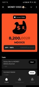 MONEY DOGS 🐶💰 2